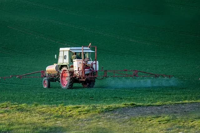 Ekologiczne środki ochrony roślin - Poradnik zakupu