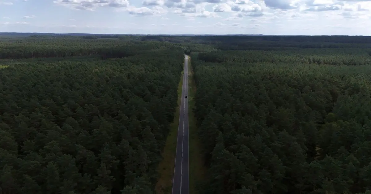 Zielona podróż: jak tanio podróżować ekologicznie?