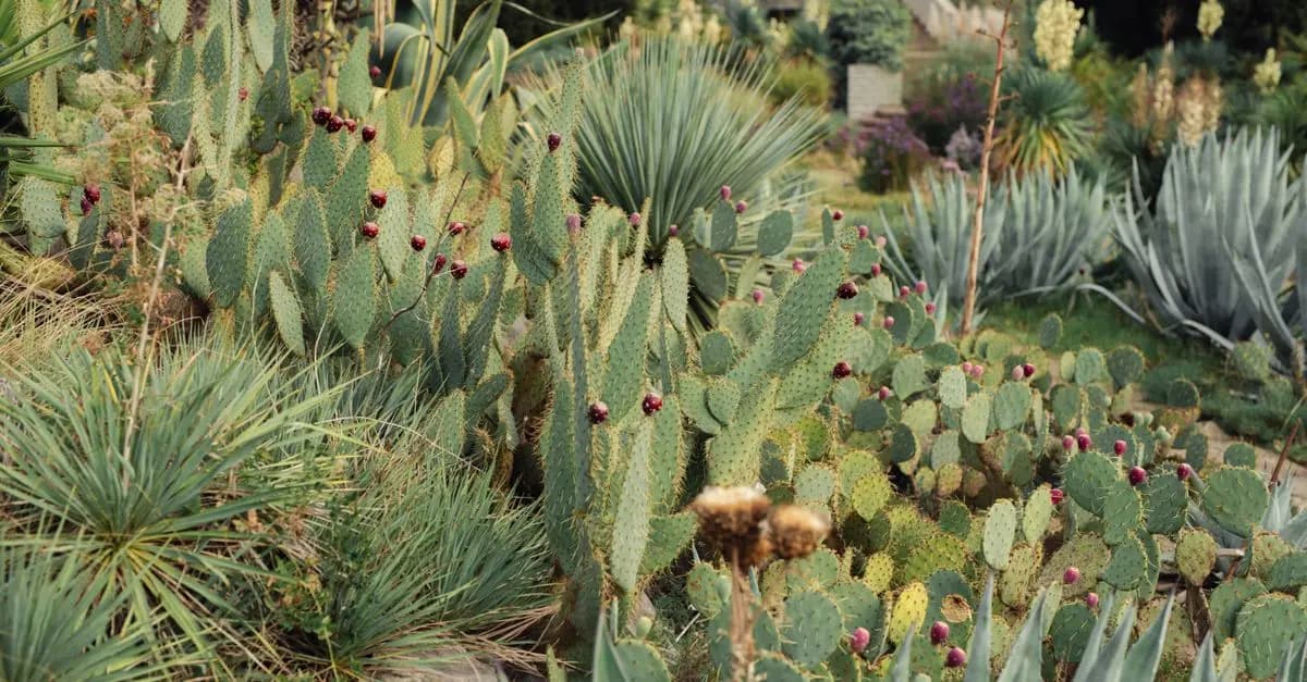Économiser l'eau au jardin : Guide pratique et astuces