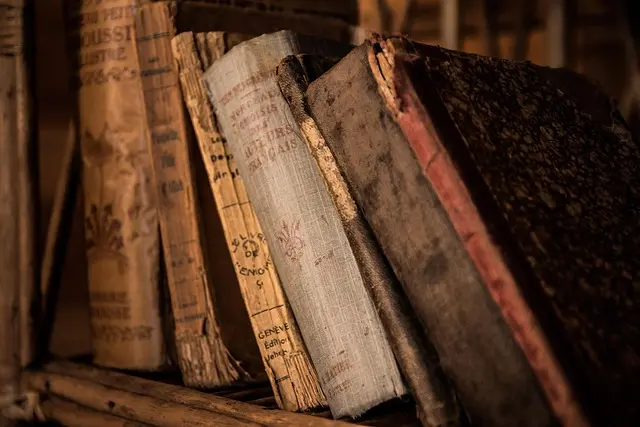 Découvrez les Meilleurs Livres à Avoir Absolument